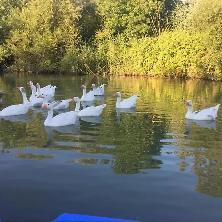 Belek Glamping House Hotel