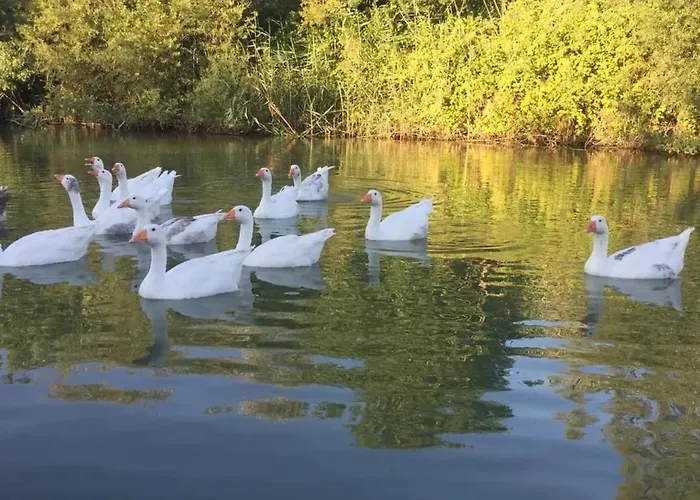 Belek Glamping House Hotel